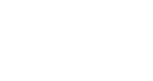 dragontail electric logo